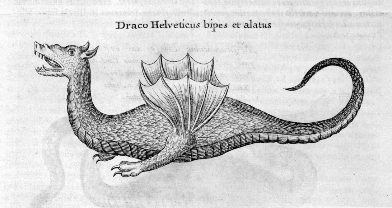 Drache von Athanasius Kircher
