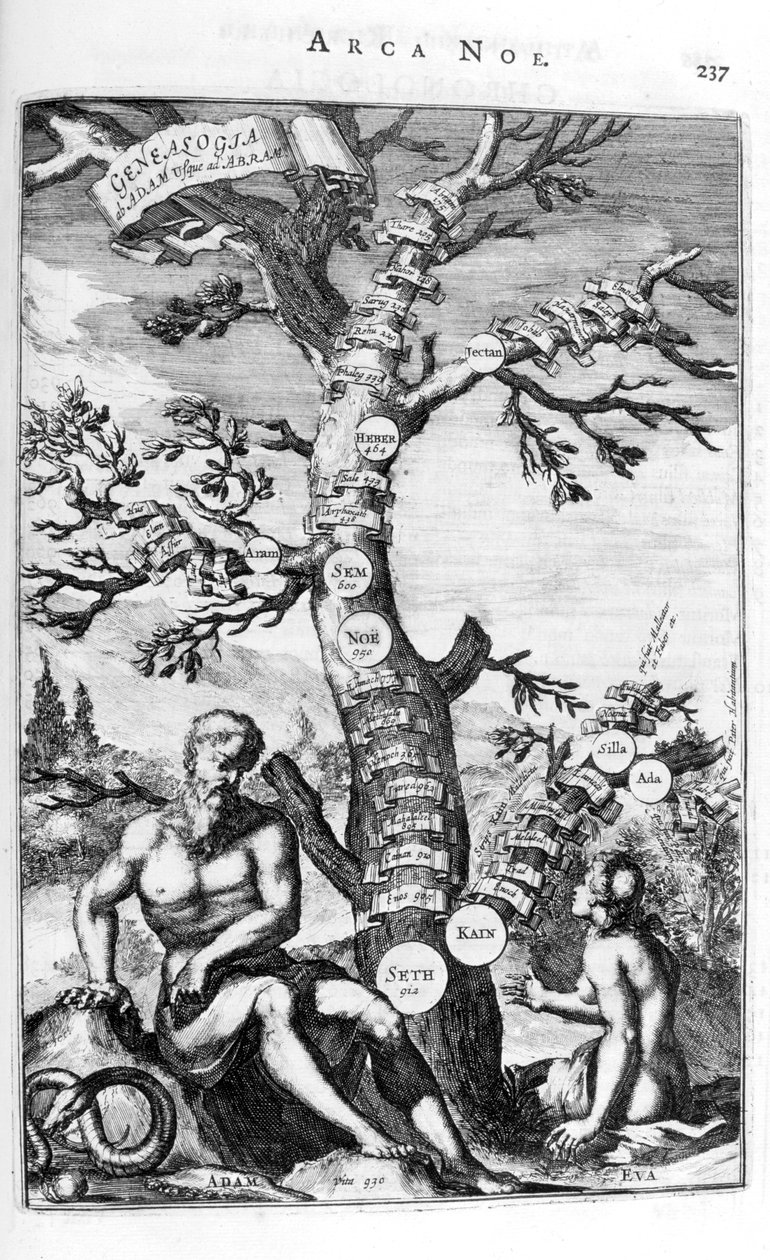 Stammbaum von Adam, 1675 von Athanasius Kircher