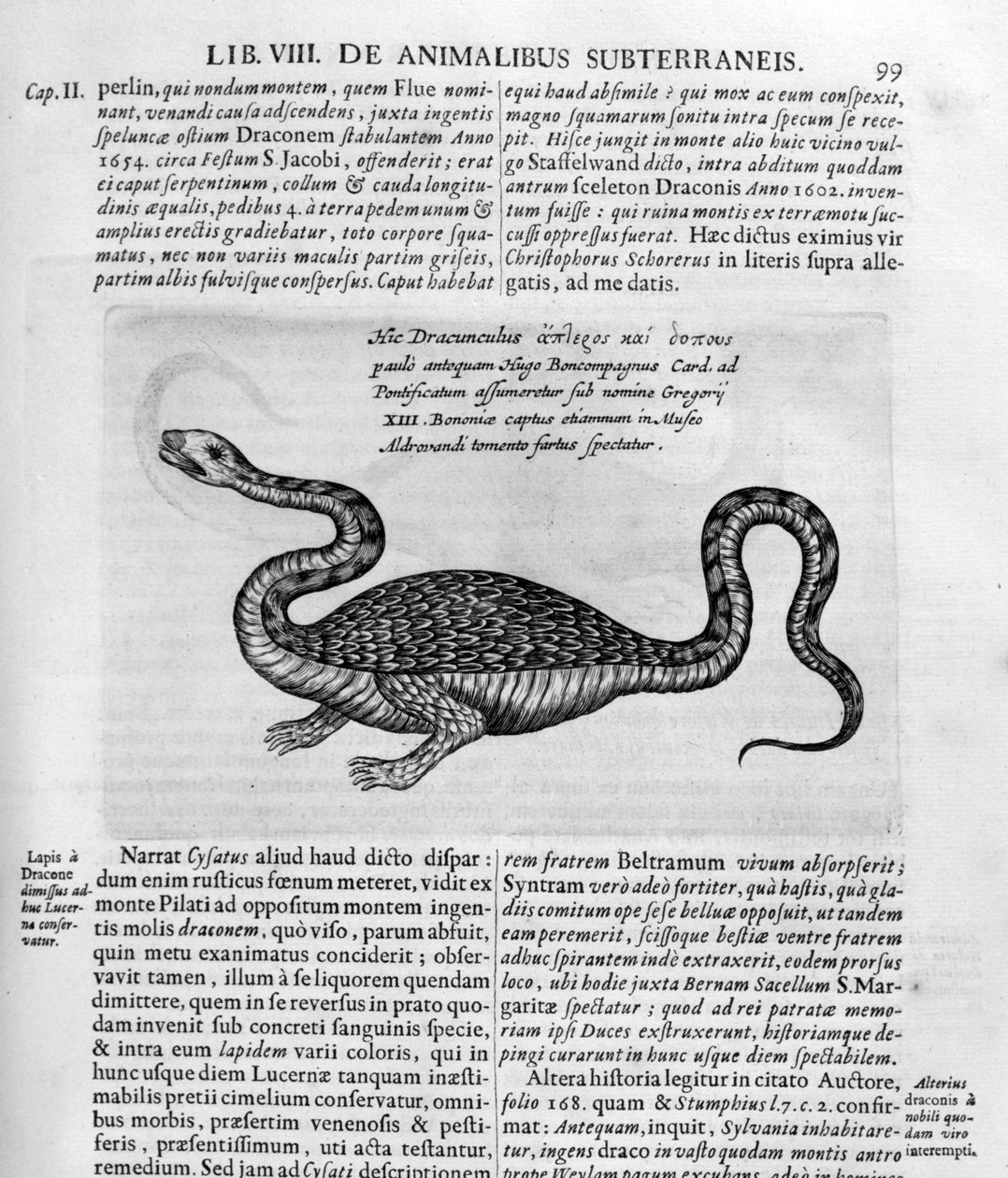 Kleiner Drache, 1678 von Athanasius Kircher