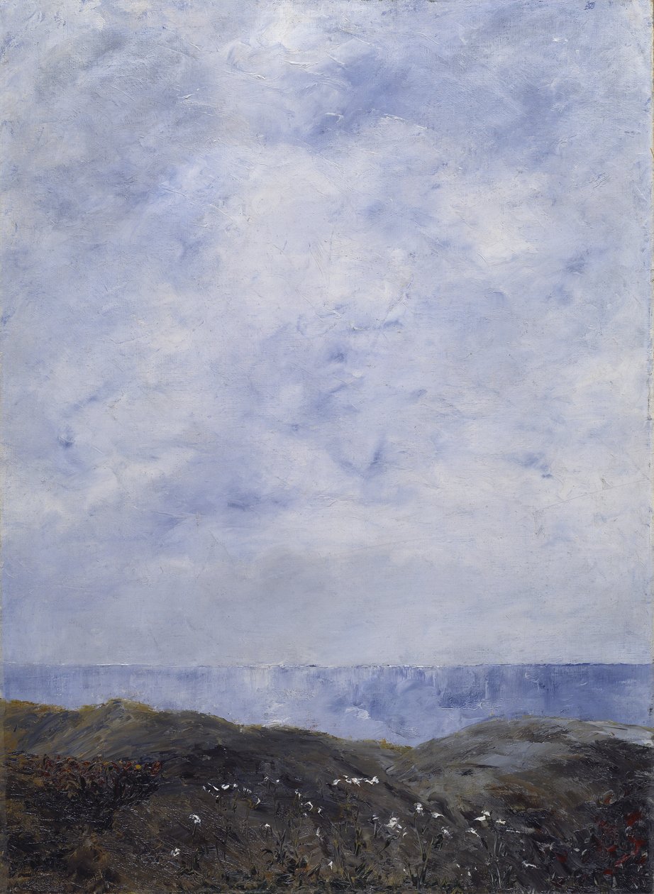 Küstenlandschaft, 1903 von August Johan Strindberg