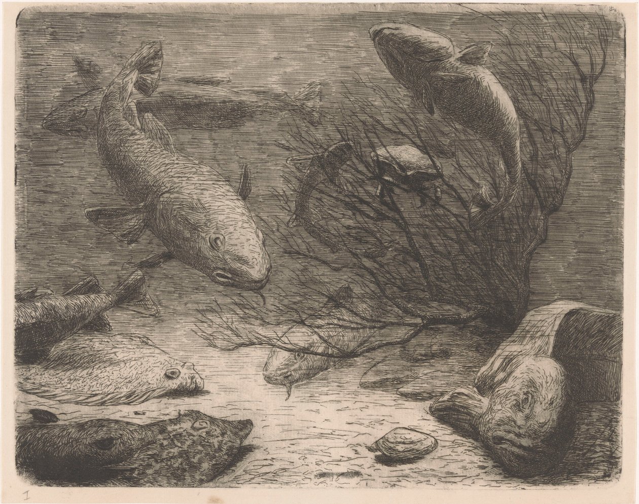 Aquarium von August Le Gras