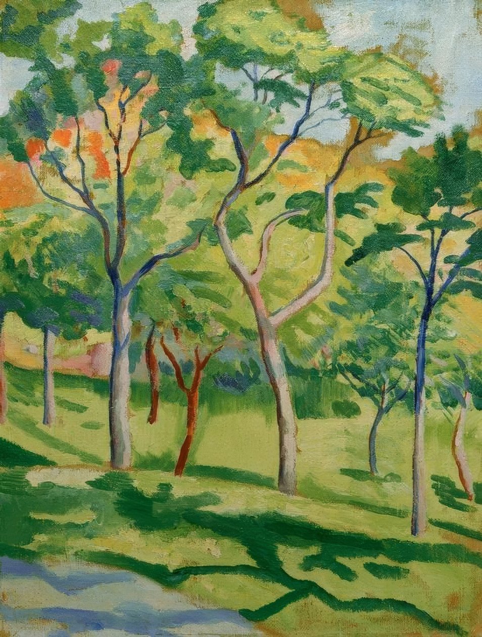 Bäume in der Wiese von August Macke