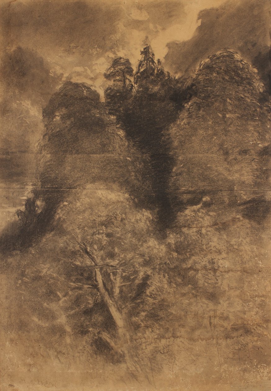 Baumstudie von August Schaeffer von Wienwald