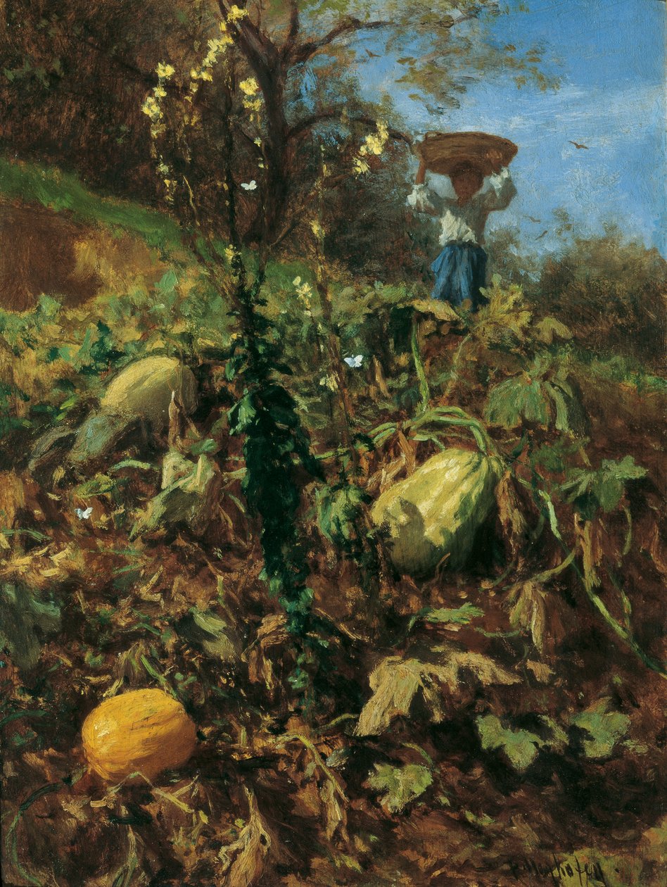 Der Kürbisgarten von August von Pettenkofen