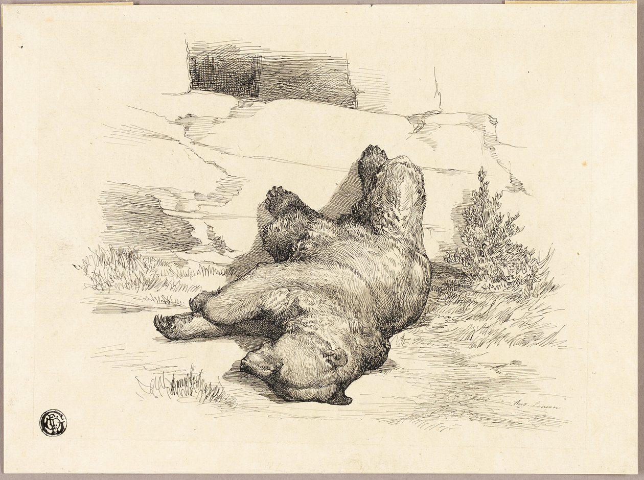 Russischer Bär von Auguste Andre Lancon