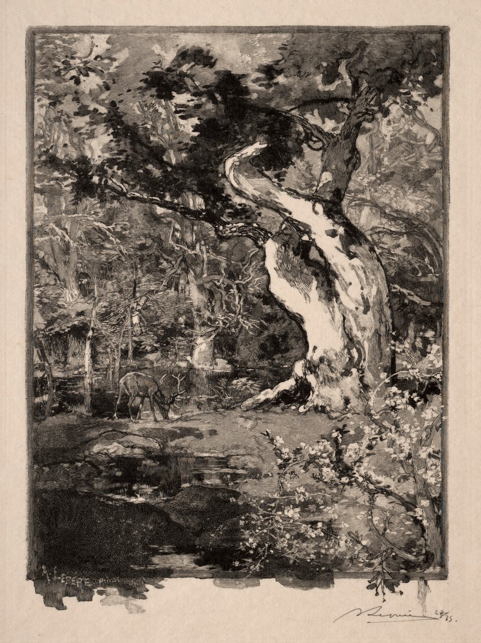 Le Clovis, Plateau de Bellecroix, 1890 von Auguste Louis Lepère