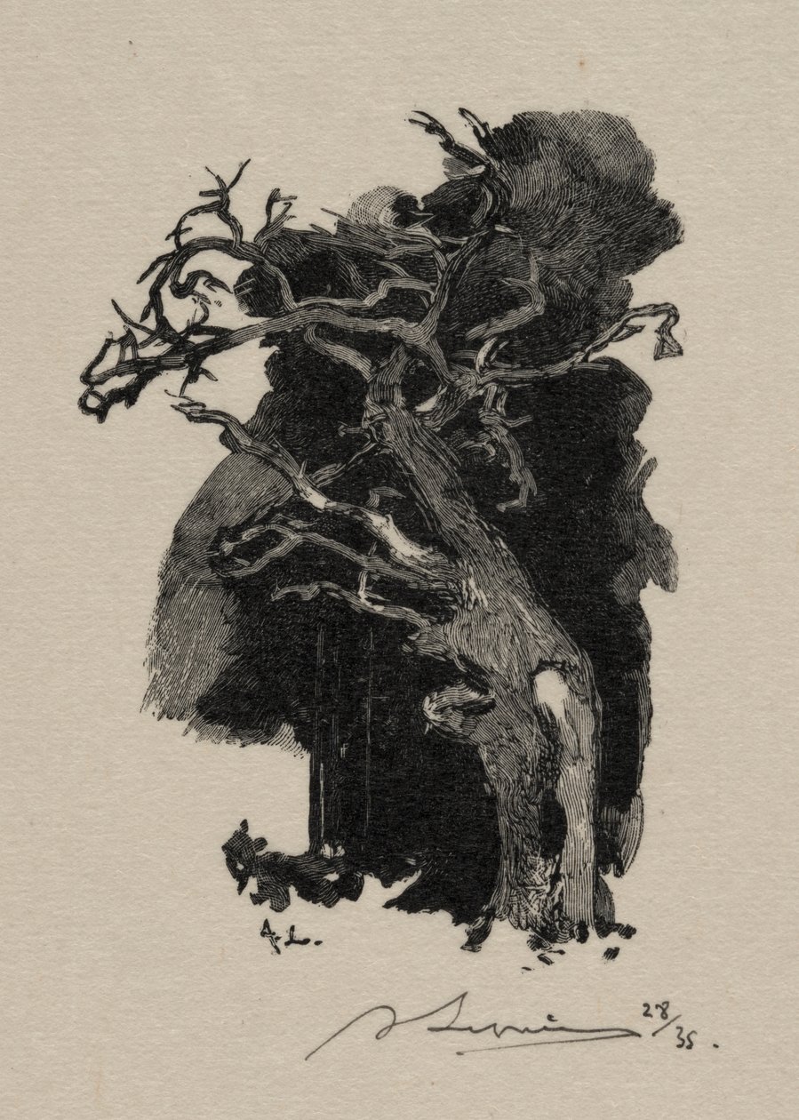 Der Wütende von Auguste Louis Lepère