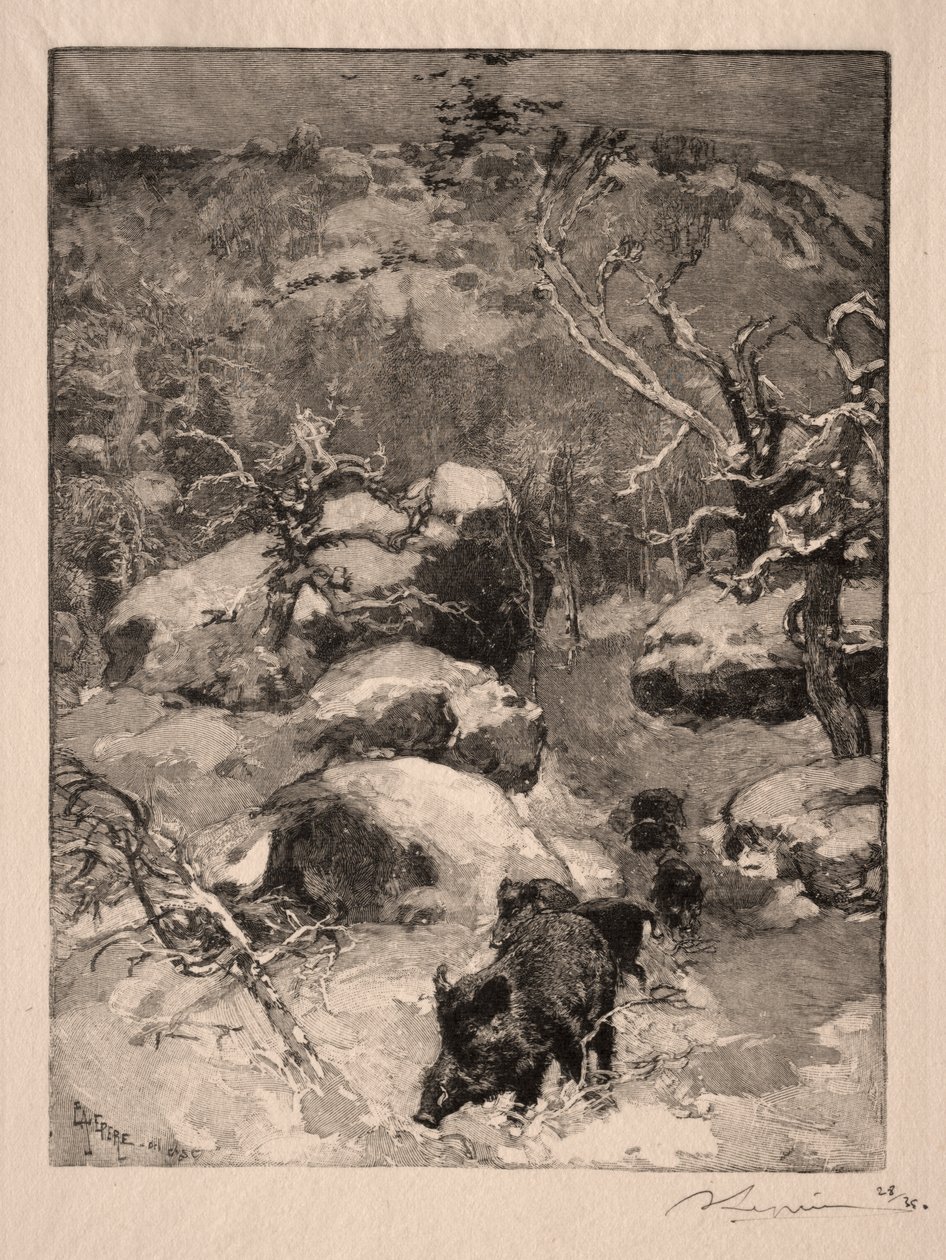 Roche Cuvier Chatillon von Auguste Louis Lepère
