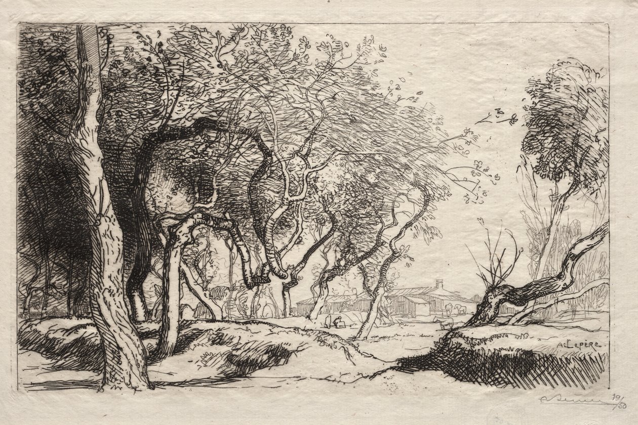 Der verdrehte Baum von Auguste Louis Lepère