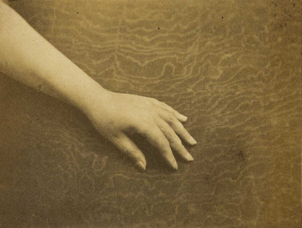 Die Hand von Madame Hugo von Auguste Vacquerie