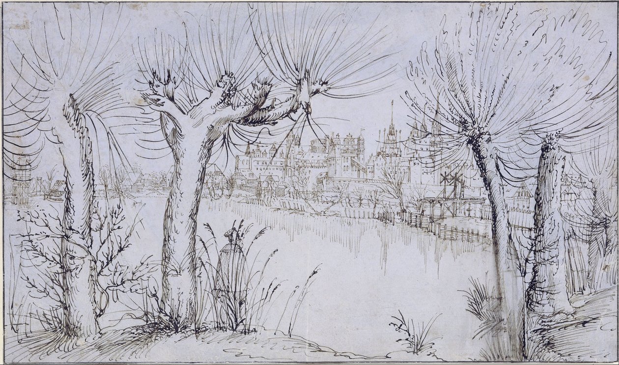 Teich vor einer Stadt von Augustin Hirschvogel