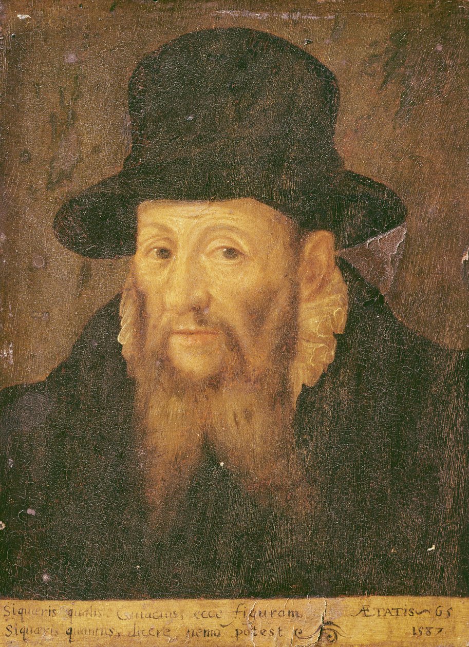 Jacques Cujas (1522-90) im Alter von 65 Jahren von Augustin II Quesnel