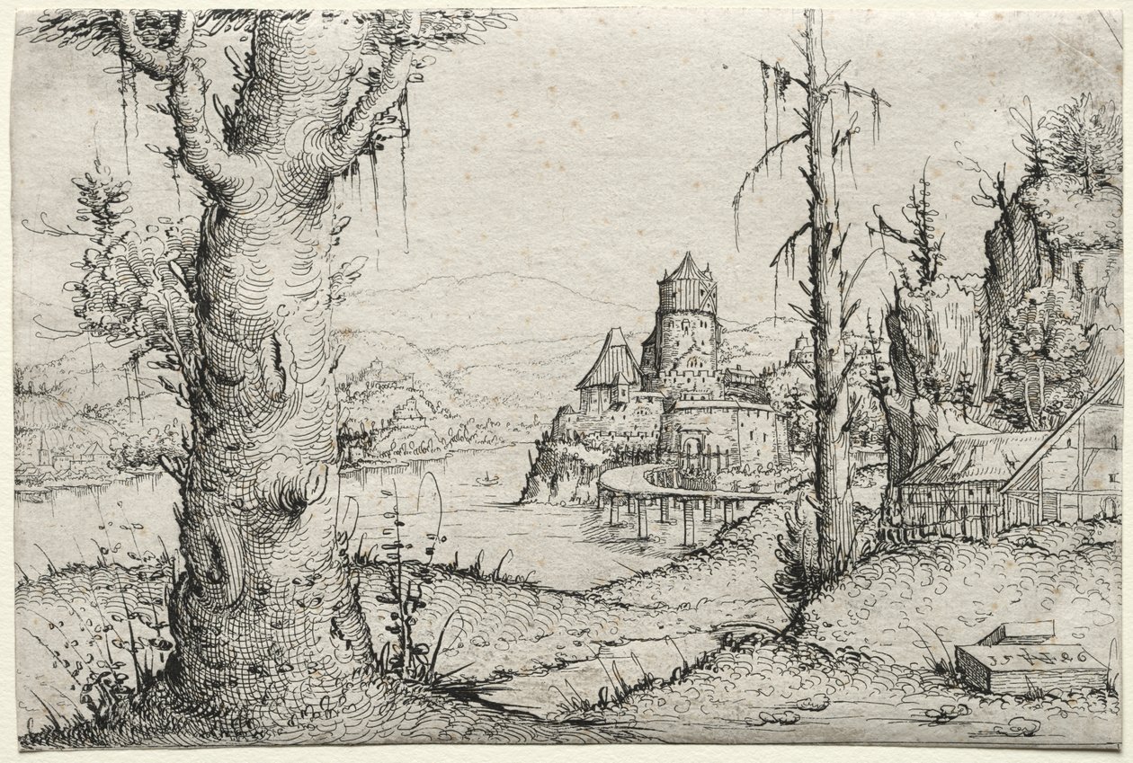 Flusslandschaft mit großem Baum links von Augustin Hirschvogel