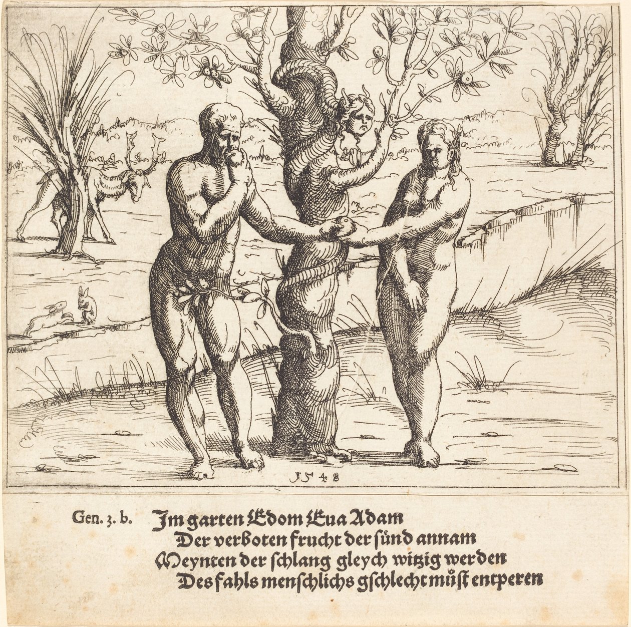 Der Sündenfall von Augustin Hirschvogel