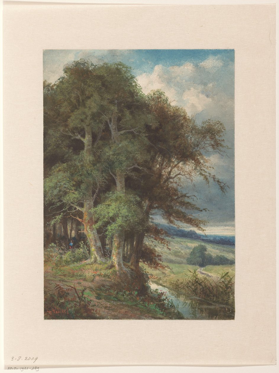 Hohe Bäume entlang eines Baches von Augustin Taurel