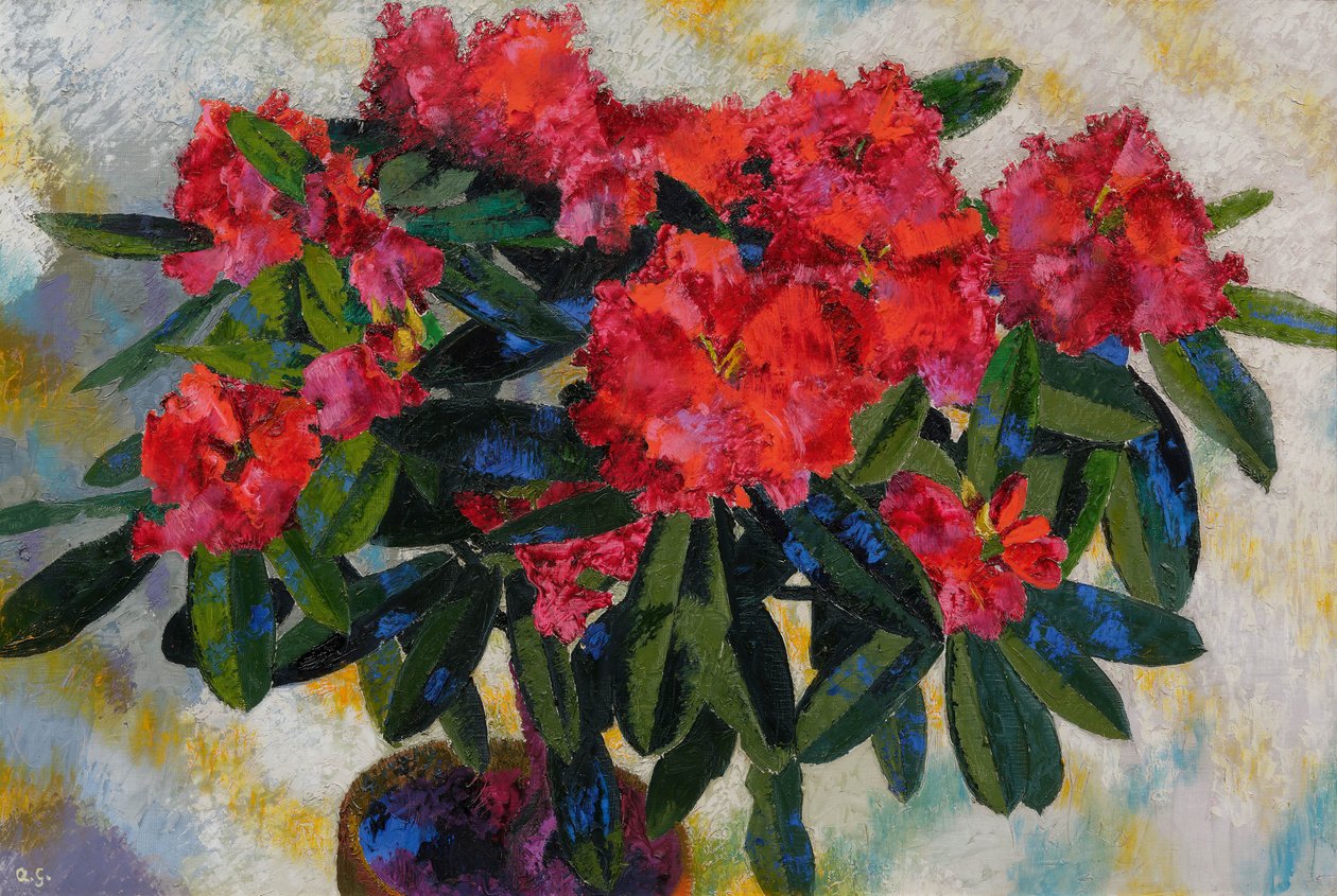 Rhododendron 1938 von Augusto Giacometti
