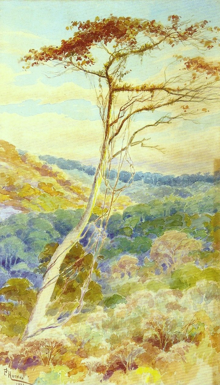 Landschaft von Aurelio de Figueiredo