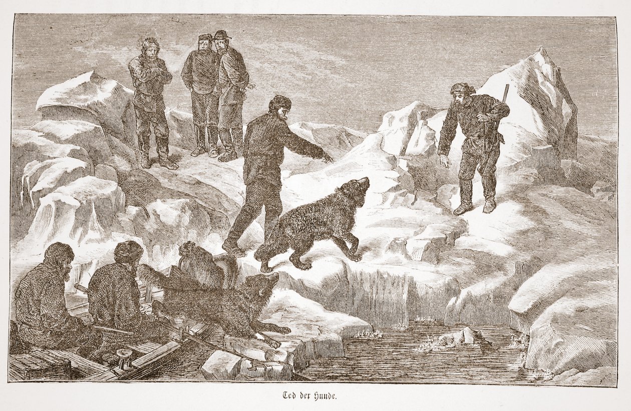 Jagd mit Hunden, 1876 von Austrian School