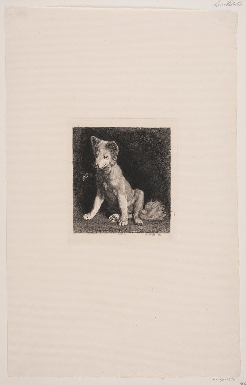 Der Hund und die Biene von Axel Helsted