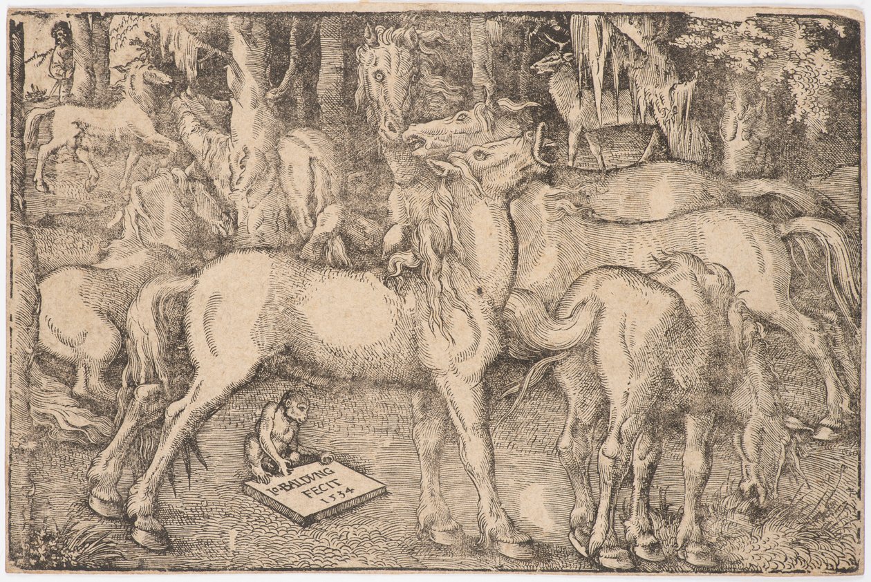 Gruppe von sieben Pferden, 1534 von Baldung