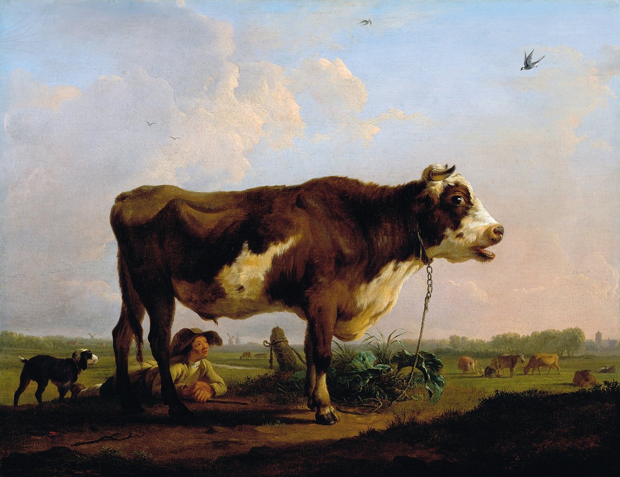 Ein Stier von Balthasar Paul Ommeganck