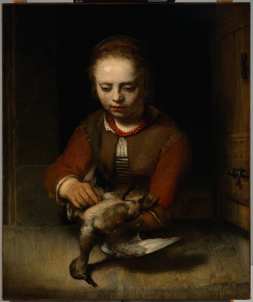 Junges Mädchen rupft eine Ente von Barent Fabritius