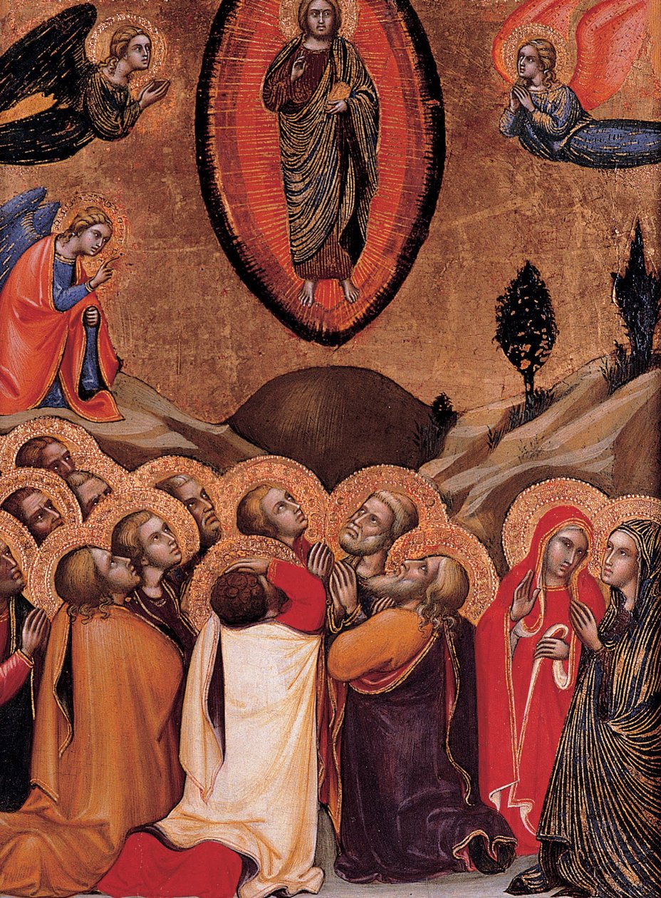 Die Himmelfahrt von Barnaba da Modena