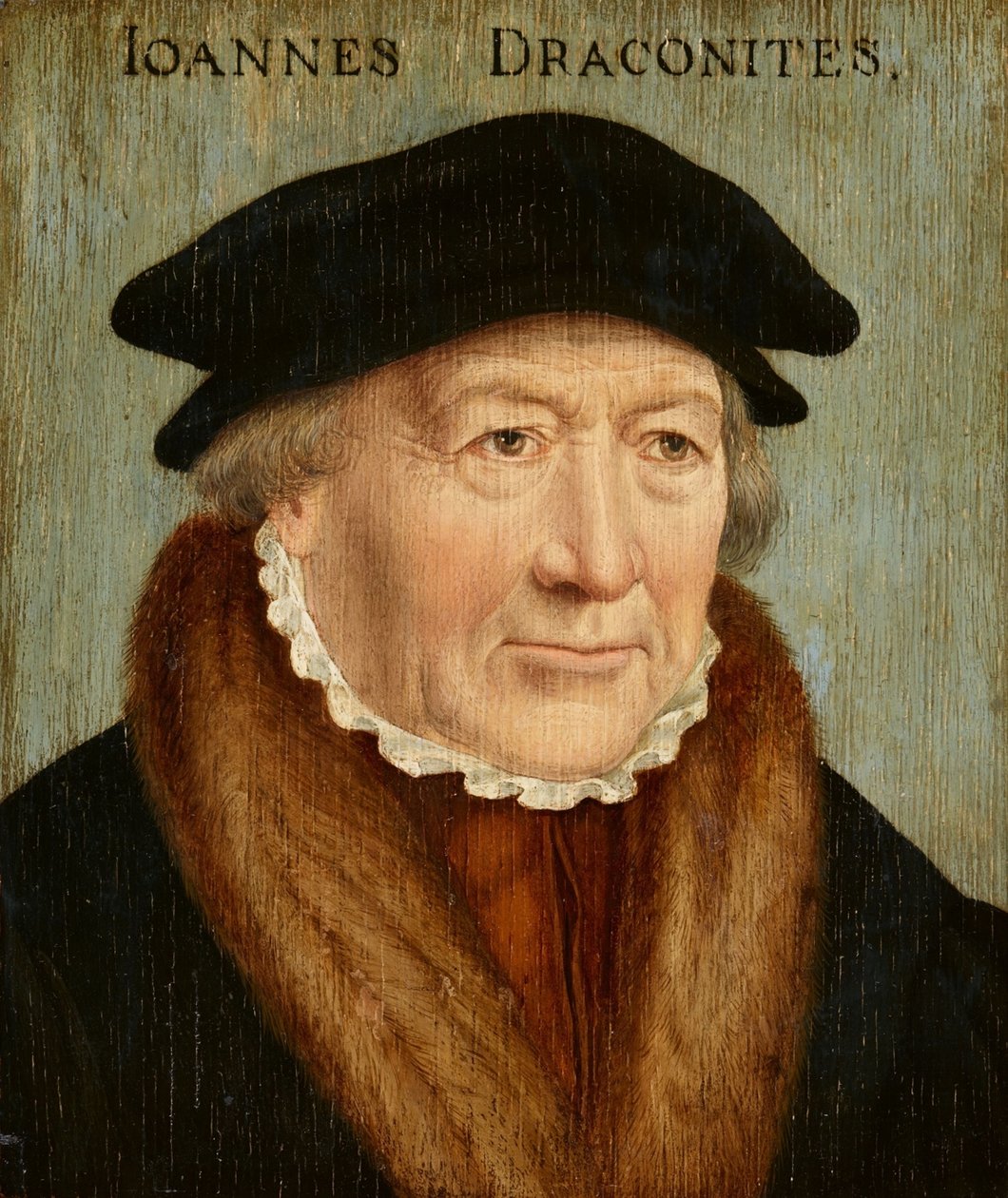 Porträt von Johannes Draconites von Bartholomaeus Bruyn the Elder