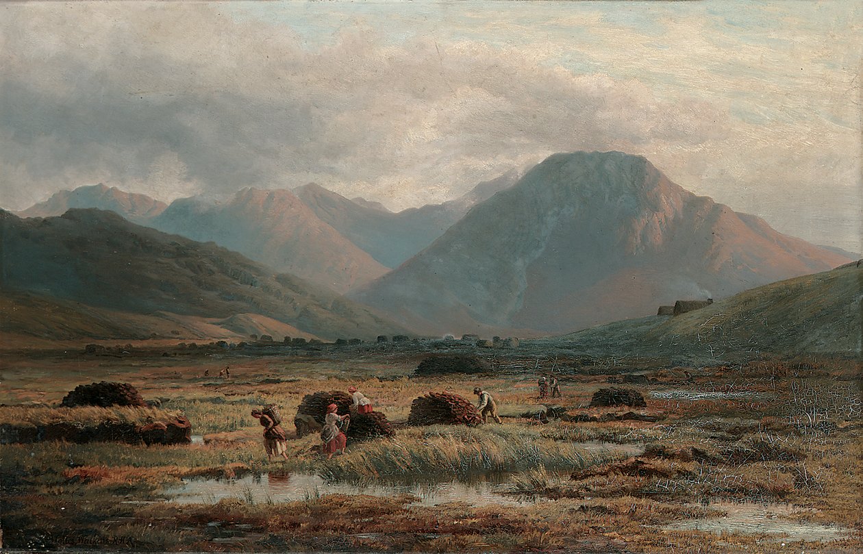 Torfmoor, Letterfrack, Connemara von Bartholomew Colles Watkins
