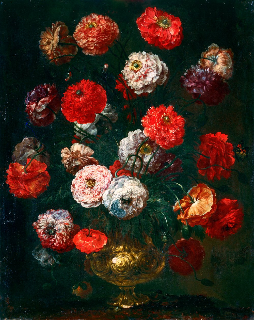 Mohnblume von Bartolomeo Bimbi