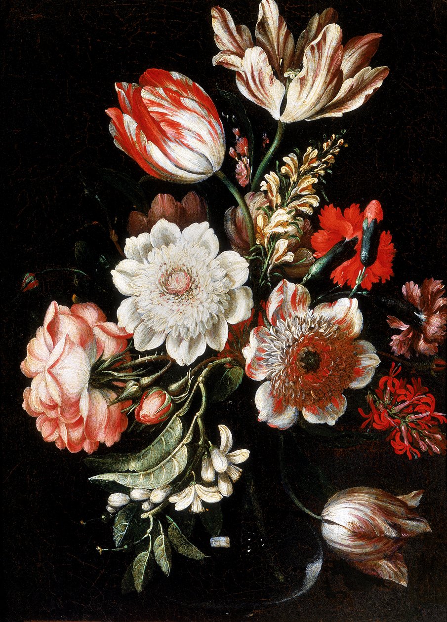 Blumen von Bartolomeo Ligozzi