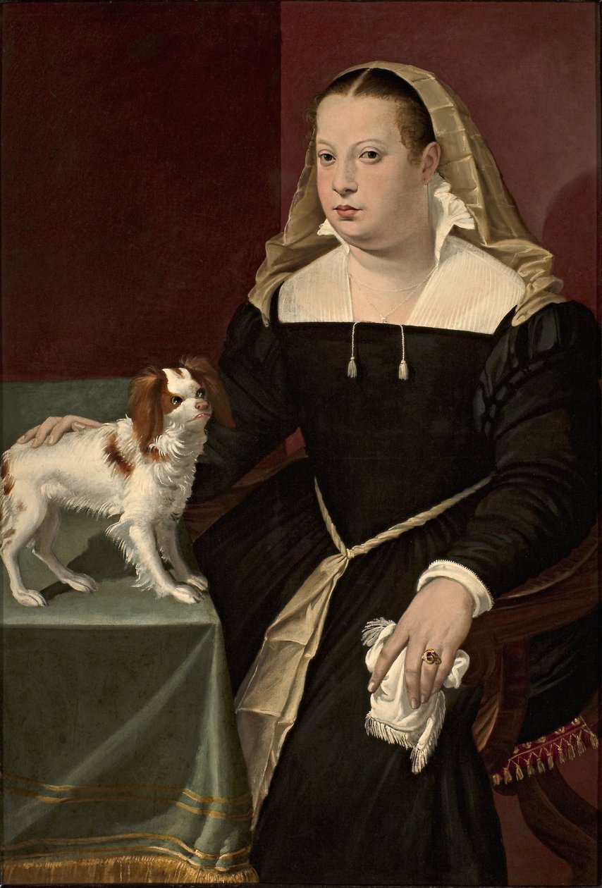 Porträt einer Dame mit Hündchen von Bartolomeo Passarotti