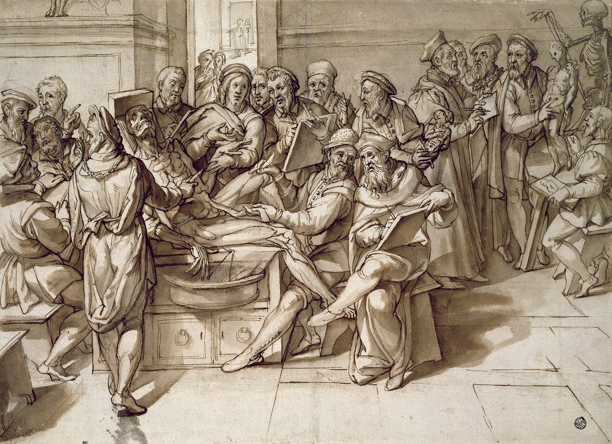 Die Anatomie-Lektion von Bartolomeo Passarotti