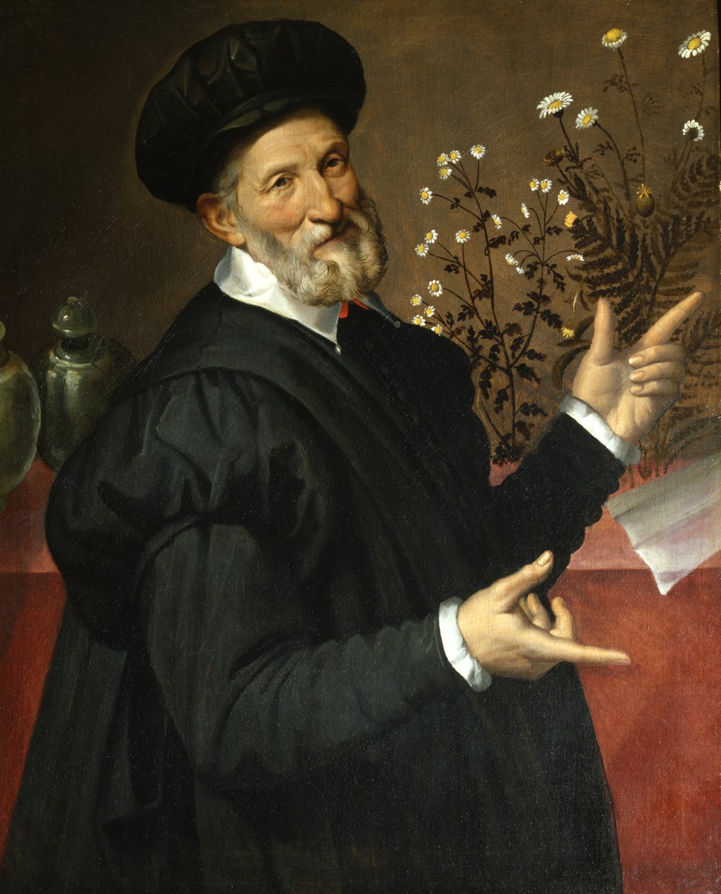 Der Botaniker, 1570 von Bartolomeo Passarotti