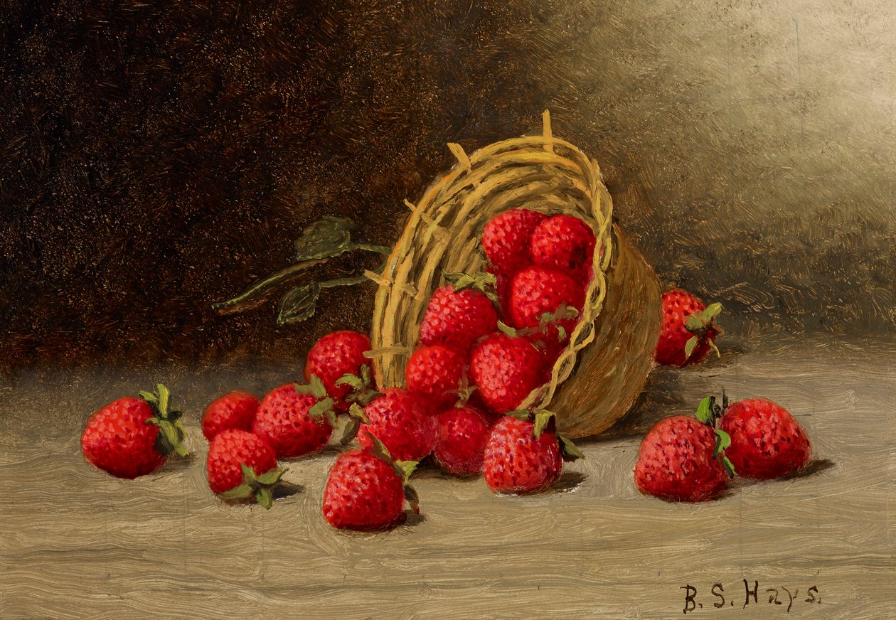 Erdbeeren von Barton S. Hays
