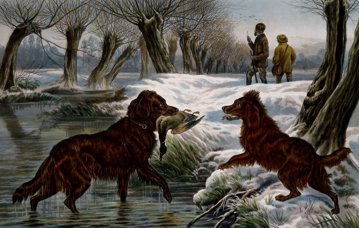 Wildentenjagd von Basil Bradley
