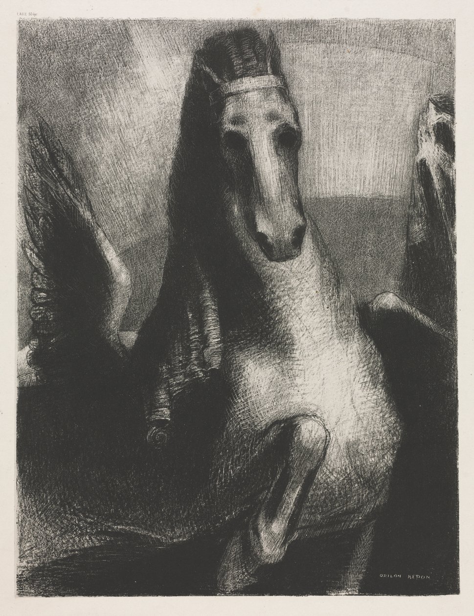 Der Flügel von Becquet