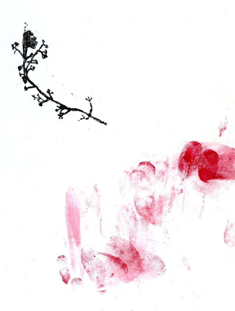 Flechte {Fee-Staub}, 2014 von Bella Larsson