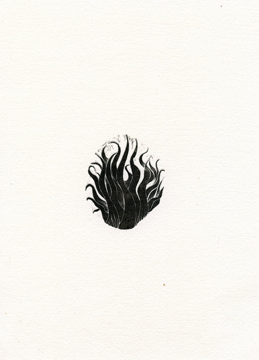 Feuer, 2017 von Bella Larsson