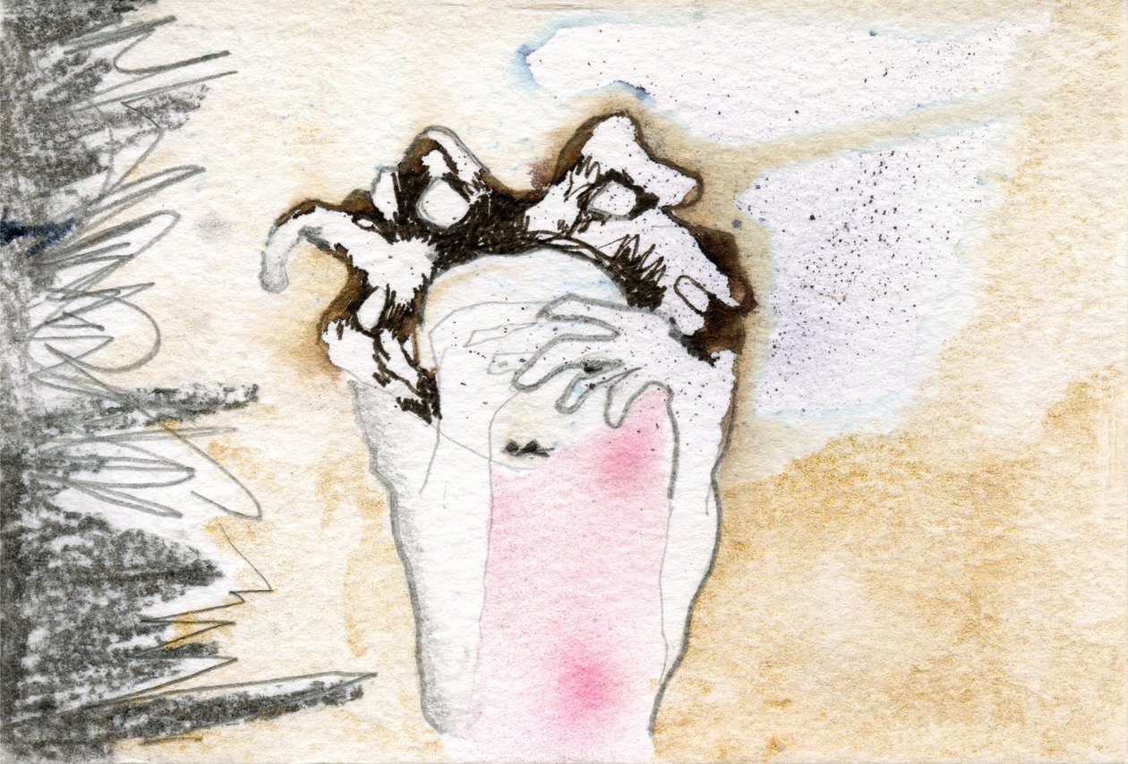 Kuckuck, 2000 von Bella Larsson