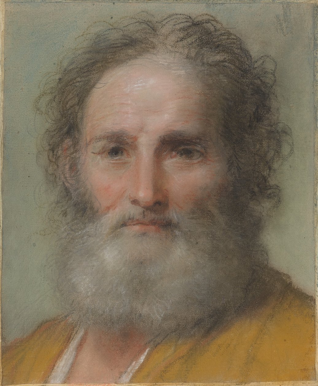 Kopf eines bärtigen Mannes von Benedetto Luti