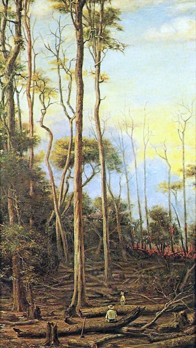 Peroba-Bäume von Benedito Calixto