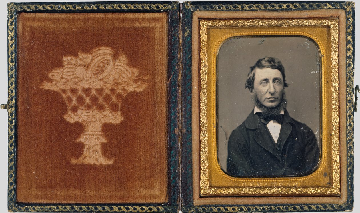 Henry David Thoreau von Benjamin D. Maxham