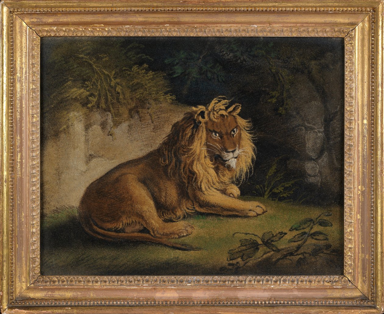 Ein Löwe in einer Dschungellandschaft von Benjamin Zobel