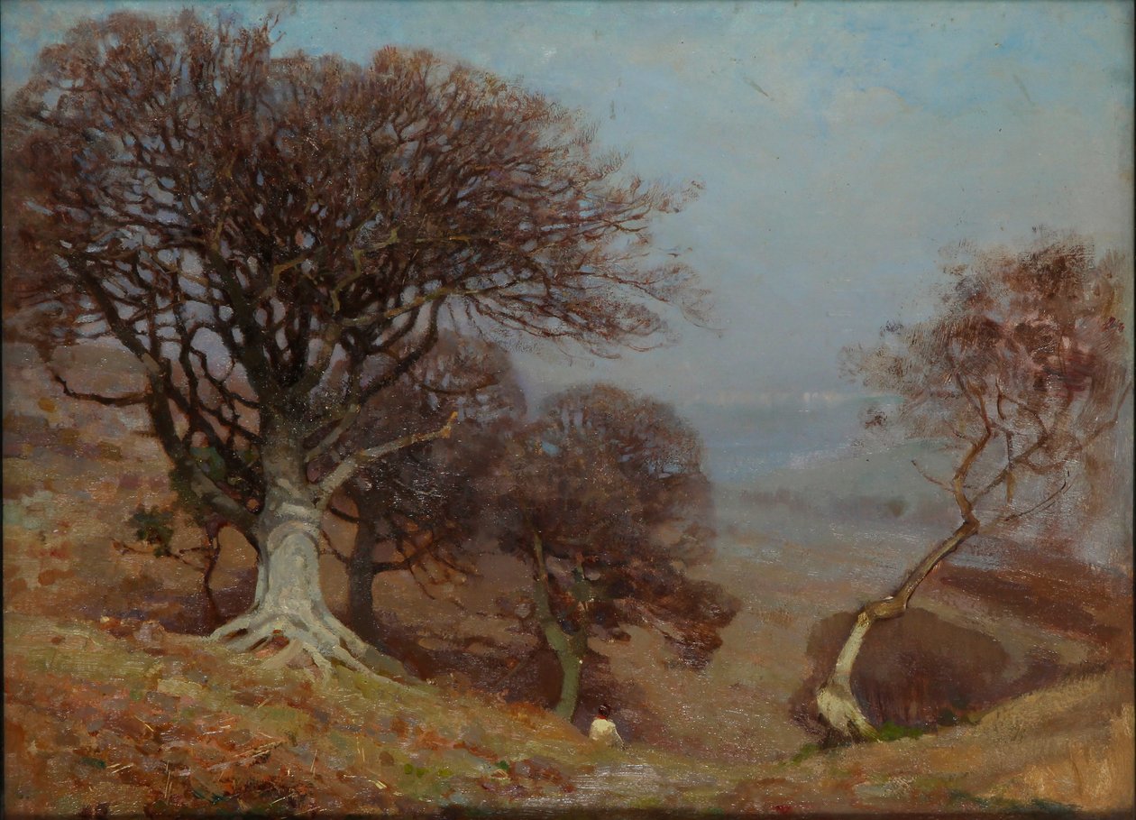 Buchen auf den Quantocks, 1885-1924 von Benjamin Haughton