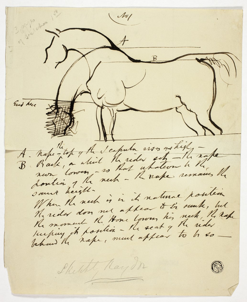 Skizze eines Pferdes mit Notizen von Benjamin Robert Haydon