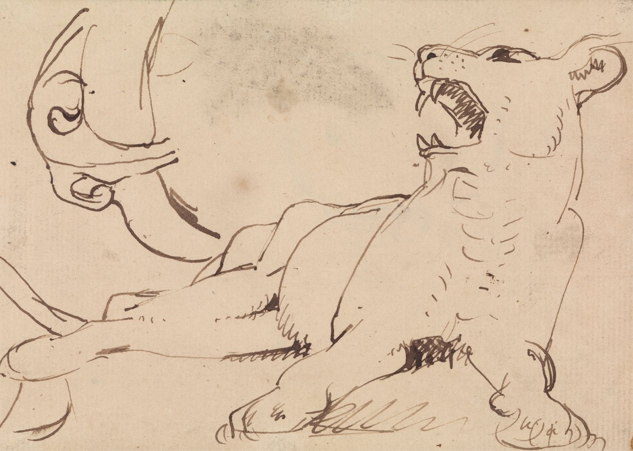 Studie einer Löwin von Benjamin Robert Haydon
