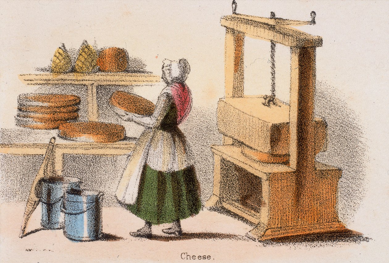 Käse, ca. 1845 von Benjamin Waterhouse Hawkins