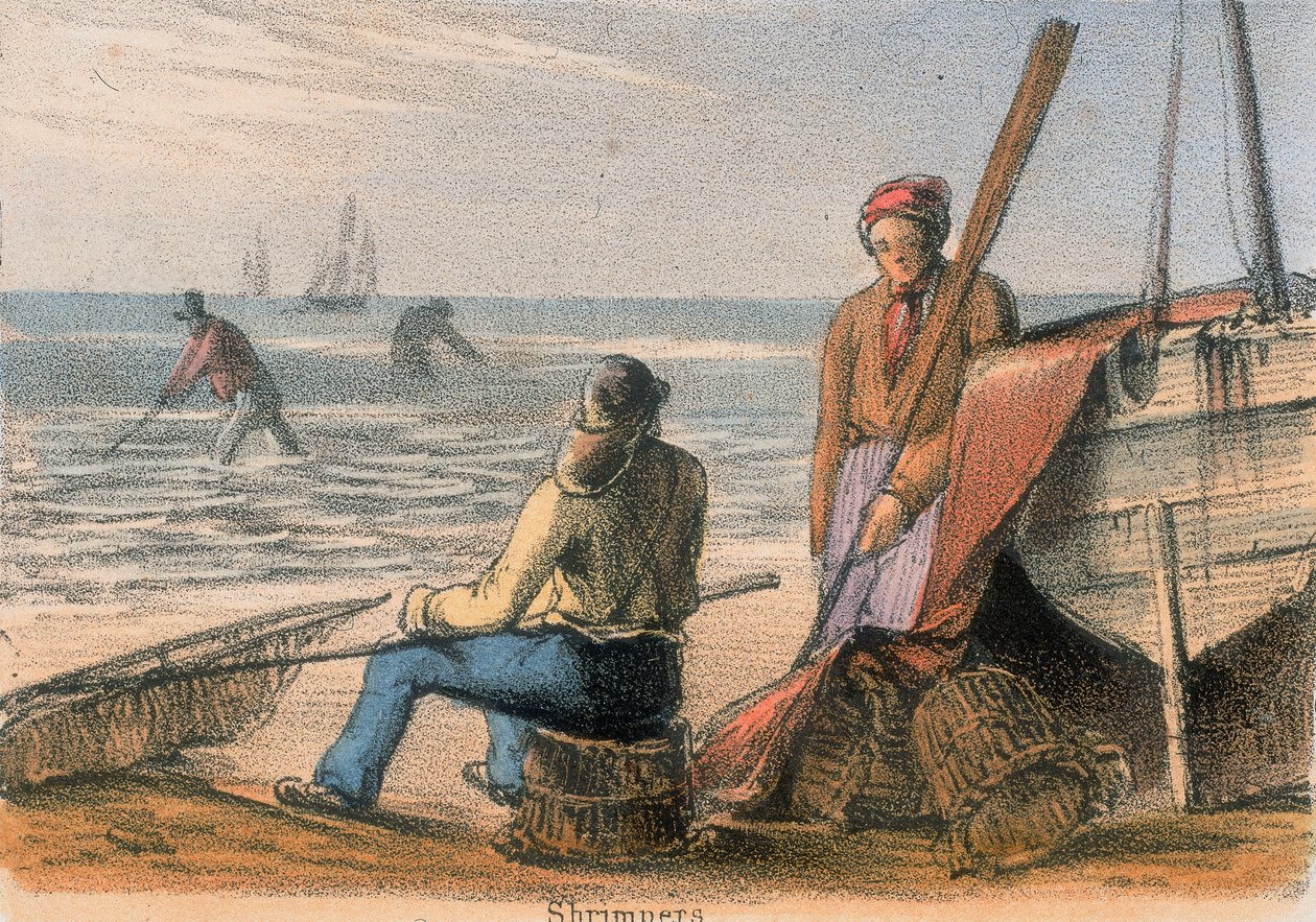 Garnelenfischer, um 1845 von Benjamin Waterhouse Hawkins