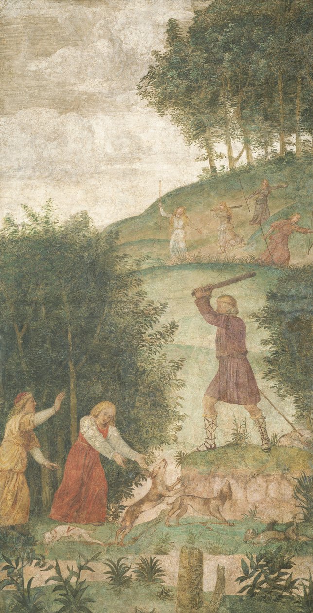 Cephalus bestraft bei der Jagd von Bernardino Luini